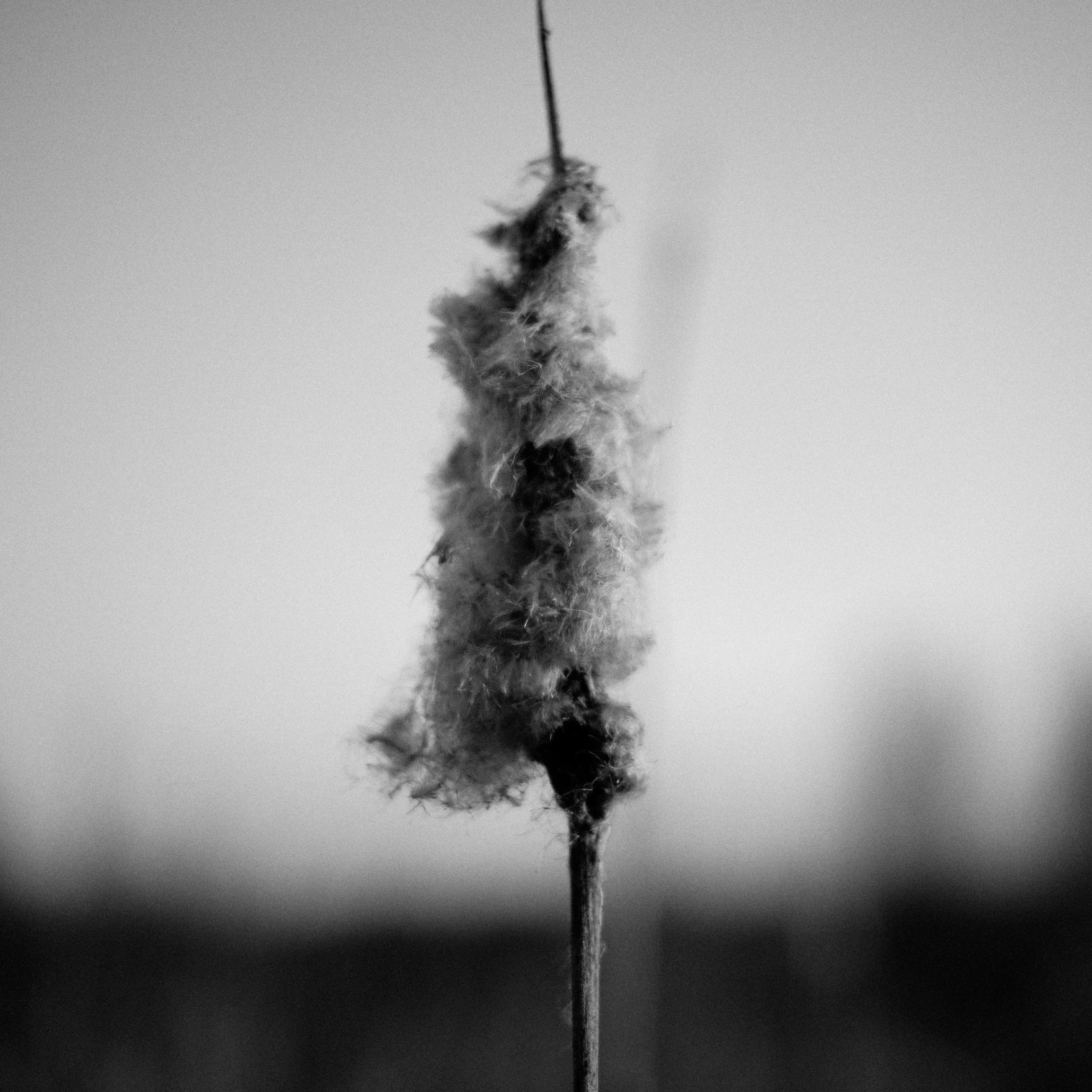 22 03 20 xt3  DSF76061