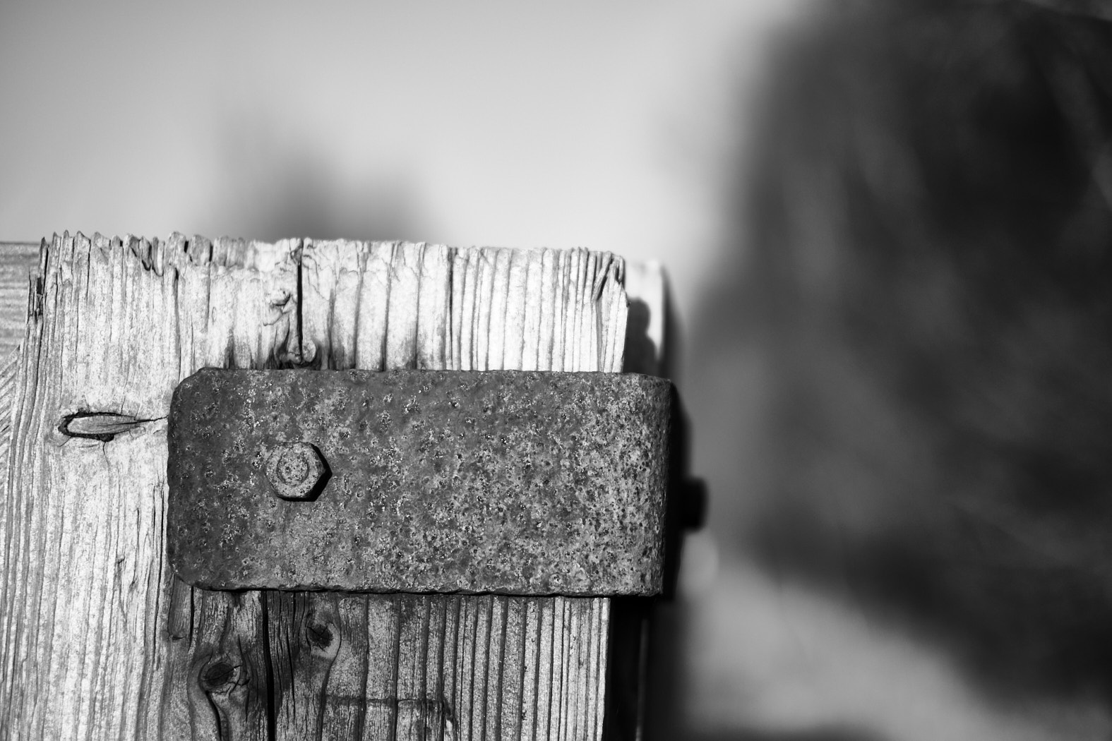 22 03 20 xt3  DSF7840