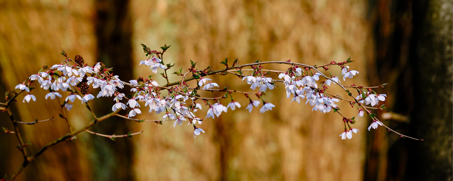 22 03 29 xt3  DSF7947