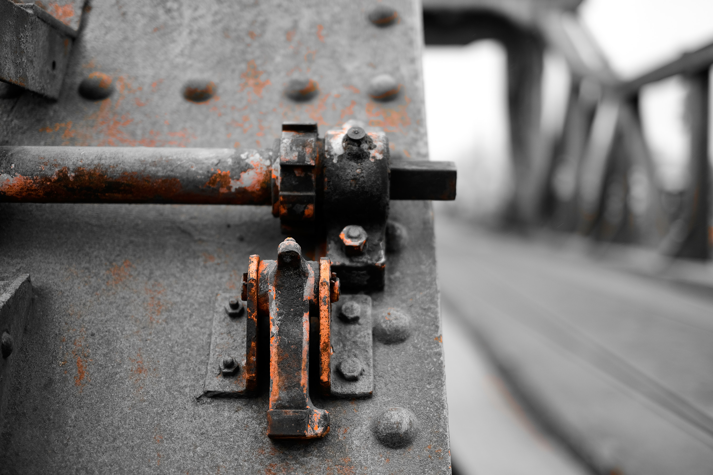 22 04 15 xt3  DSF8302