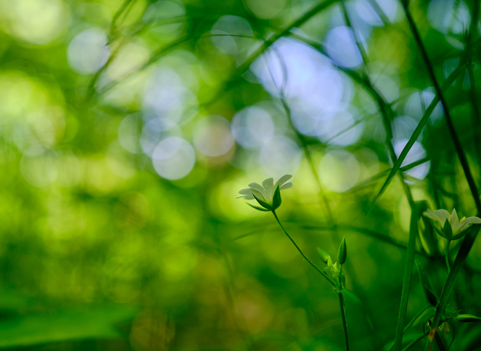 22 05 14 xt3  DSF9414