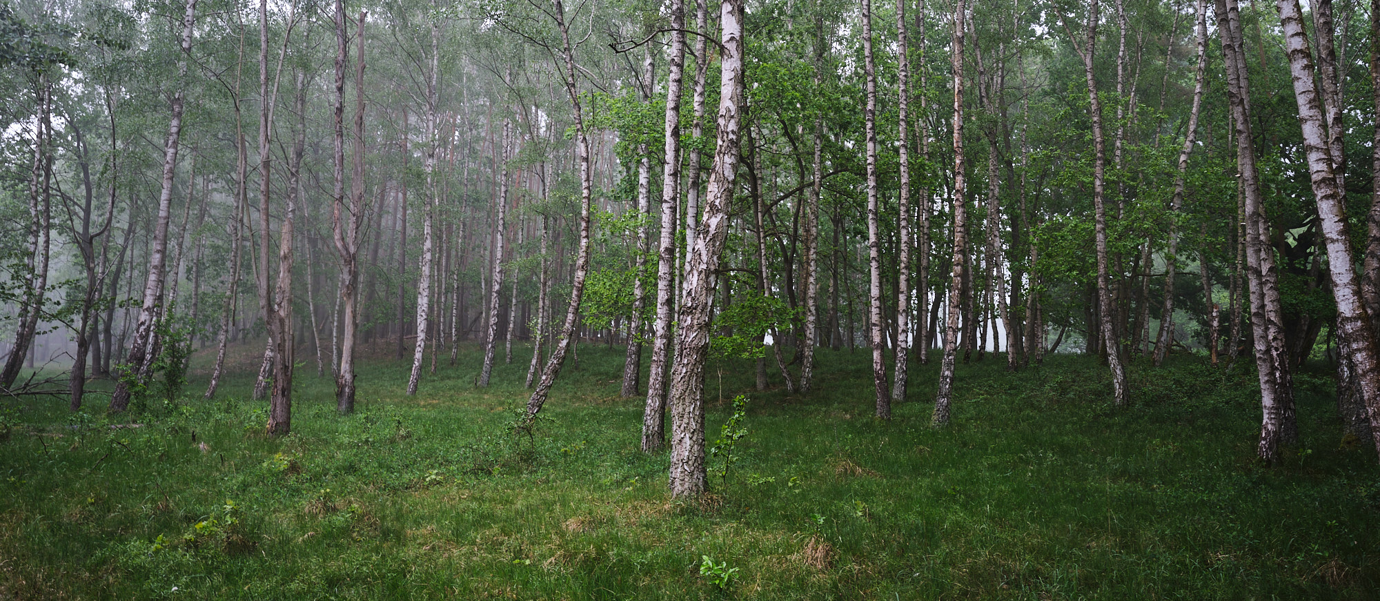 22 05 21 xt3  DSF0237