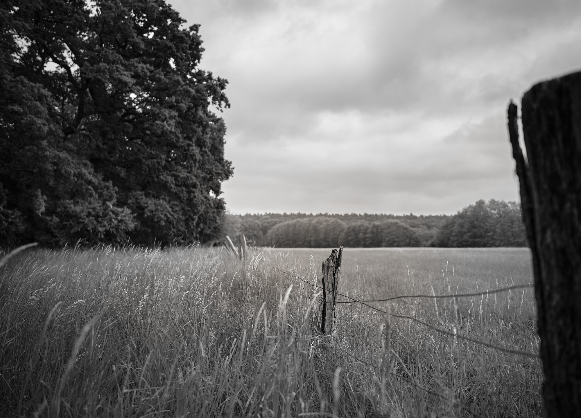 22 05 21 xt3  DSF9774