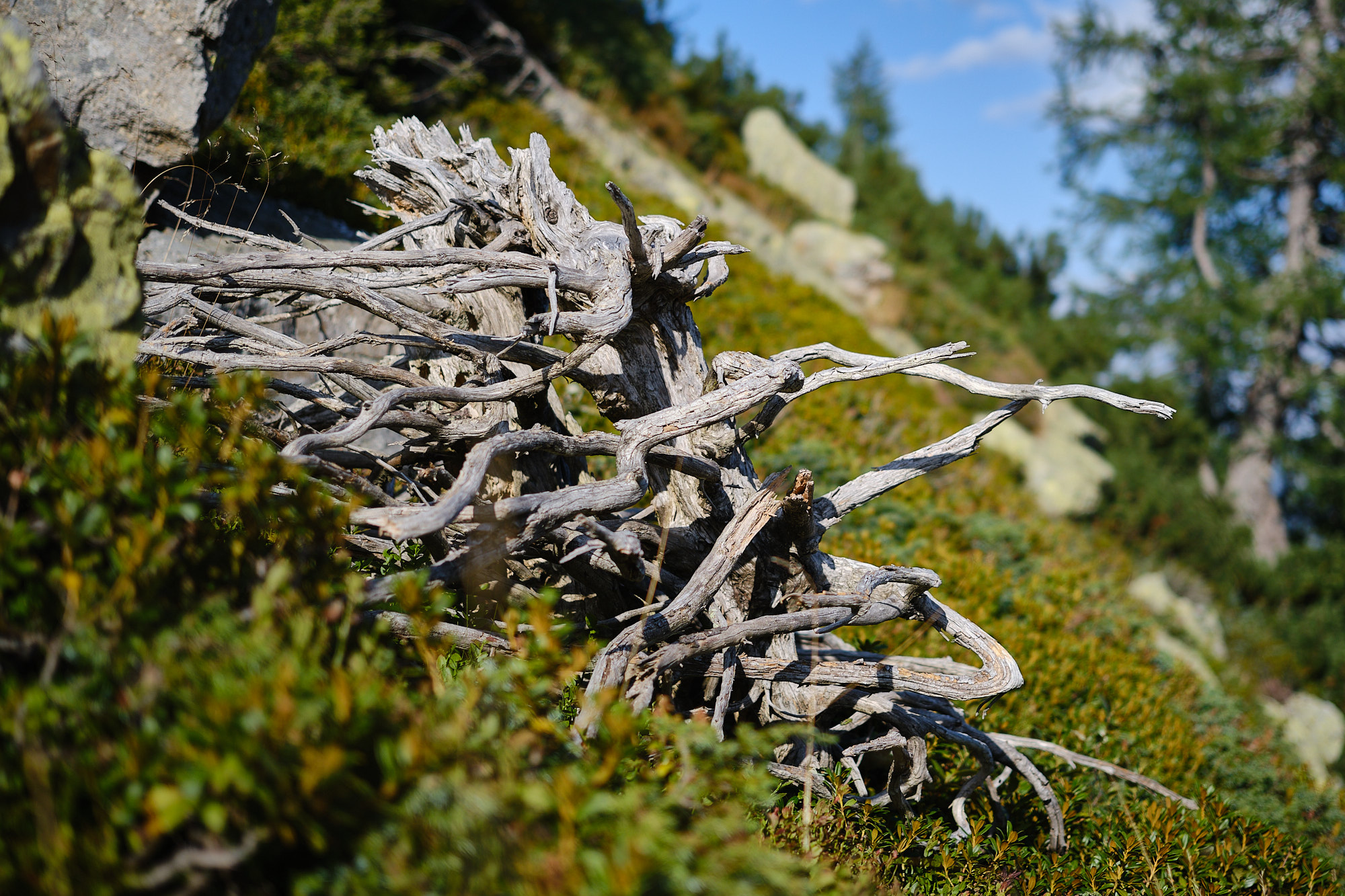 22 08 11 xt3 DSCF8748