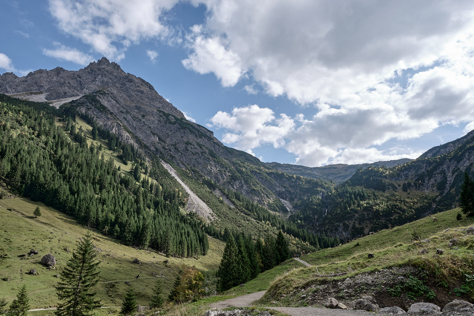 21 10 02 xt3  DSF8107