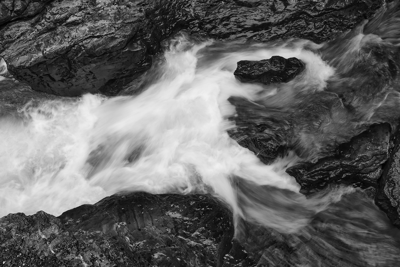 21 10 03 x100F  DSF55131