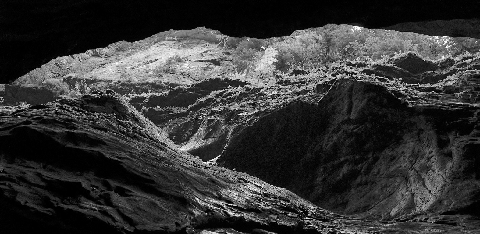 21 10 03 x100F  DSF55851