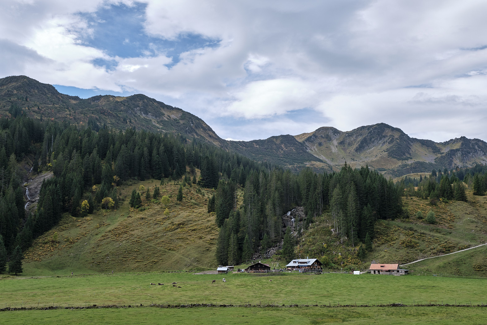 21 10 03 xt3  DSF8160