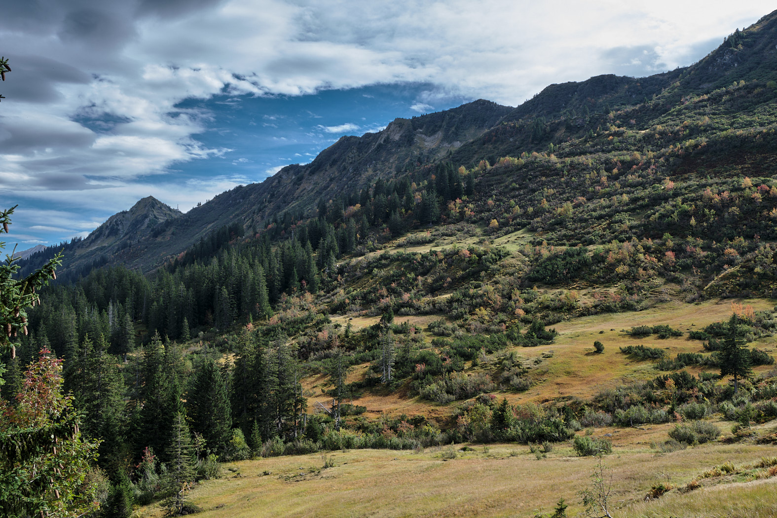 21 10 03 xt3  DSF8201