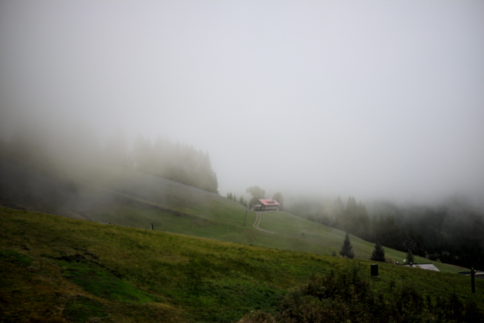 21 10 04 x100F  DSF56631