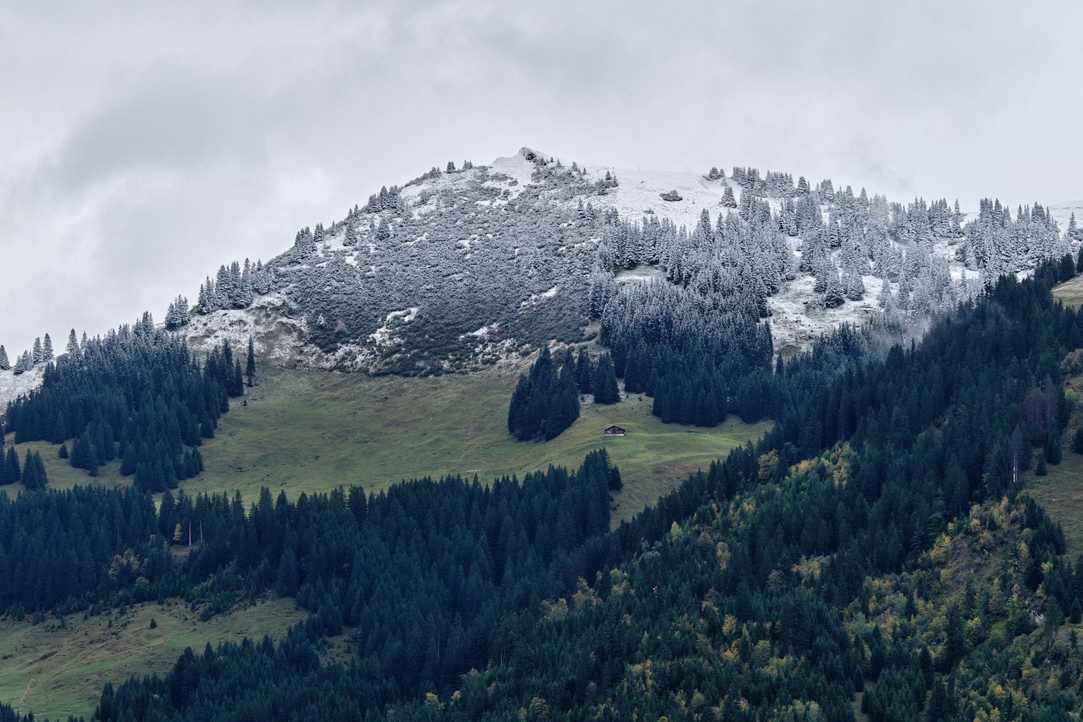 21 10 06 xt3  DSF8687