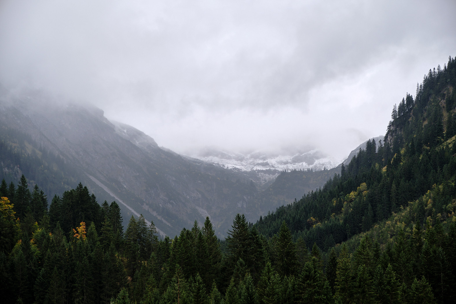 21 10 06 xt3  DSF8765