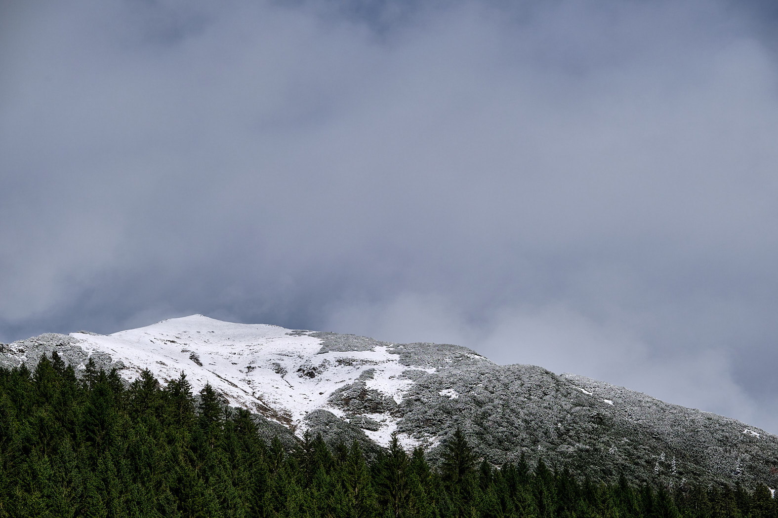 21 10 06 xt3  DSF89731