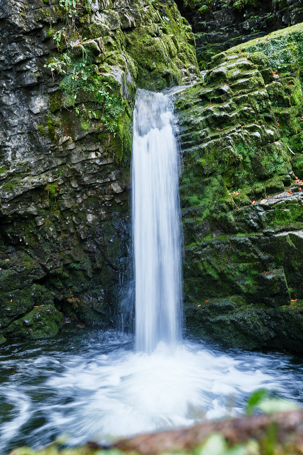 21 10 07 xt3  DSF9767