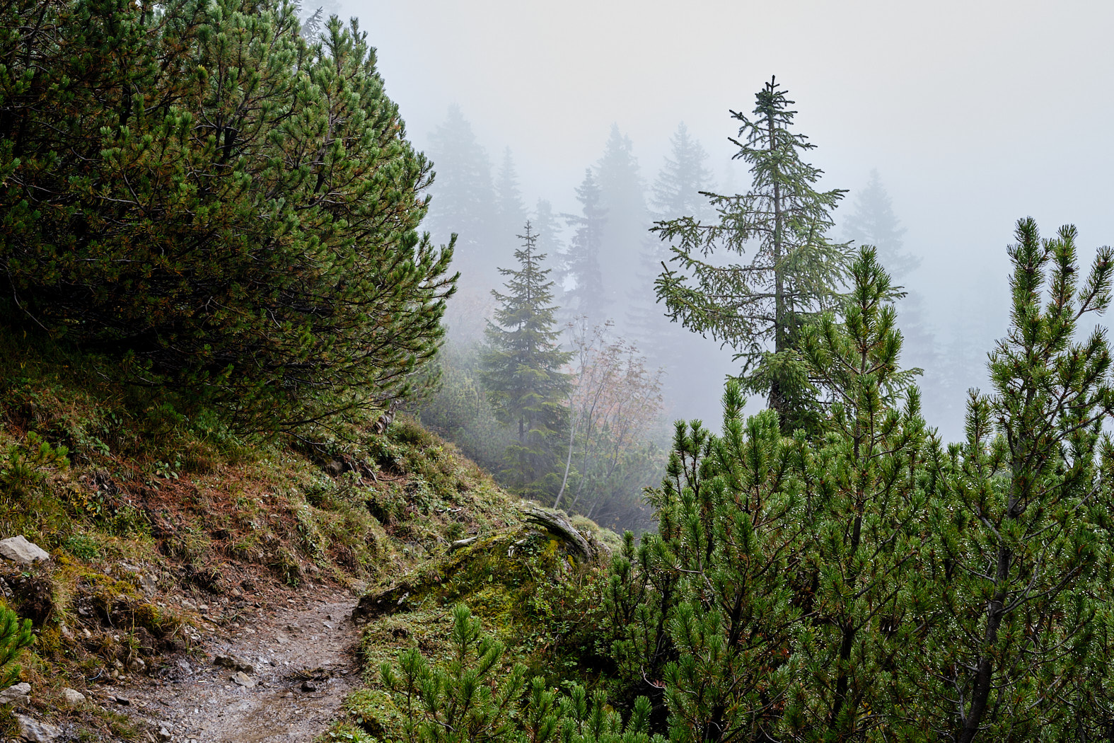 21 10 08 xt3  DSF0511