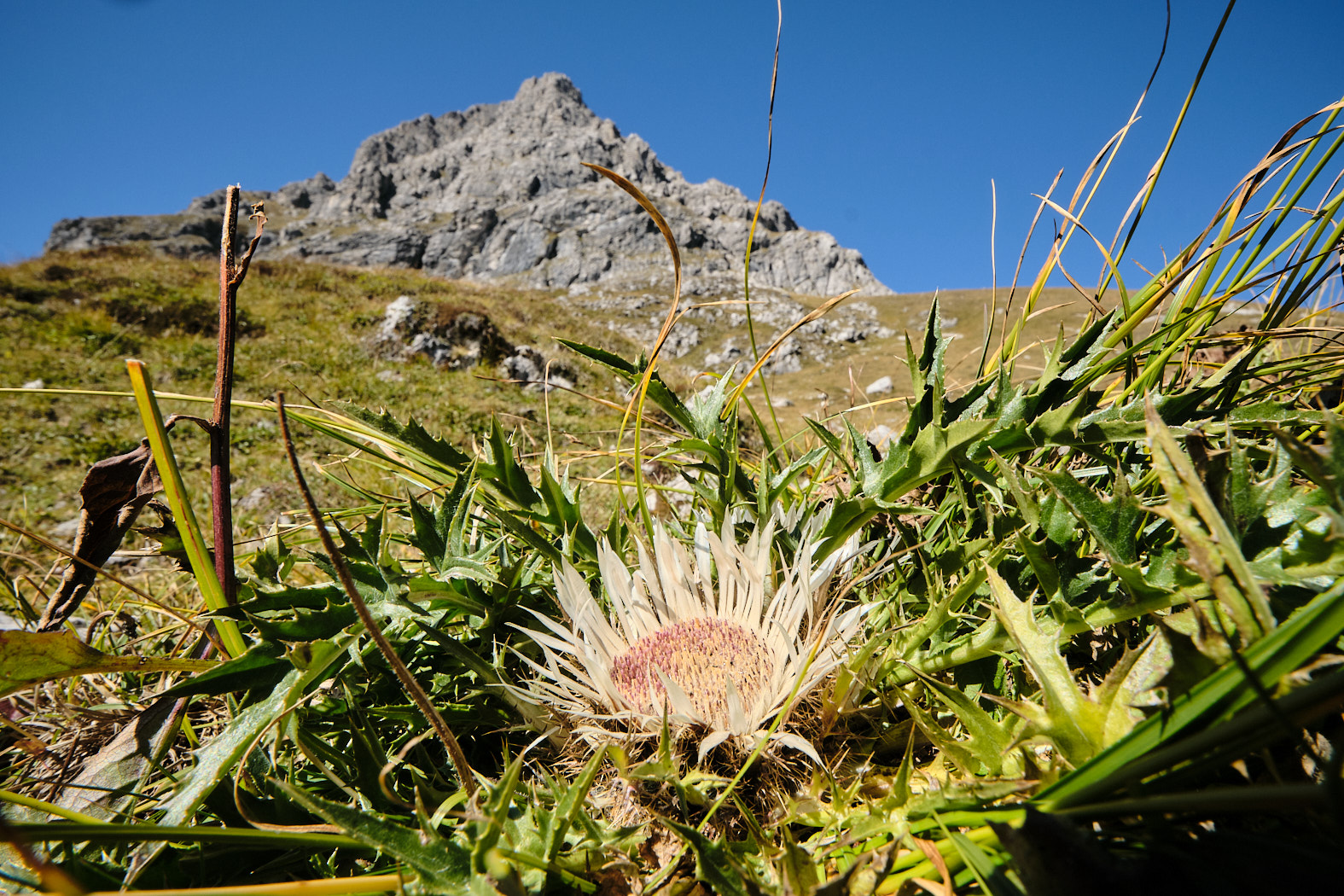 21 10 09 xt3  DSF2035