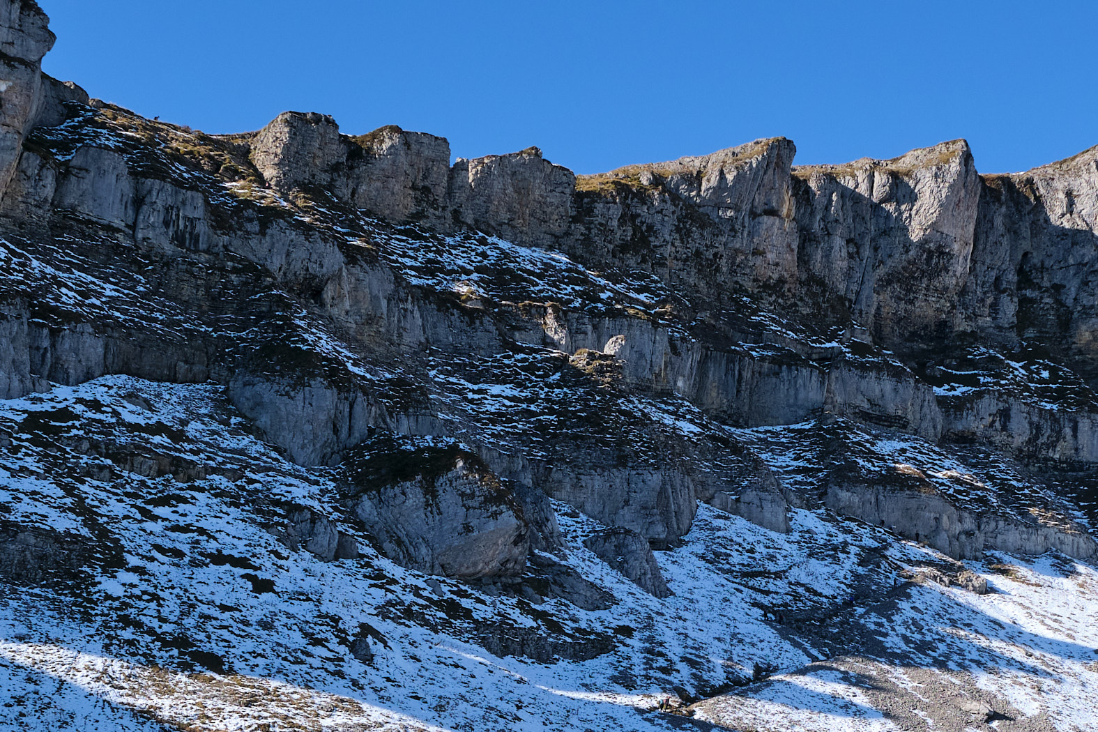 21 10 10 xt3  DSF2950