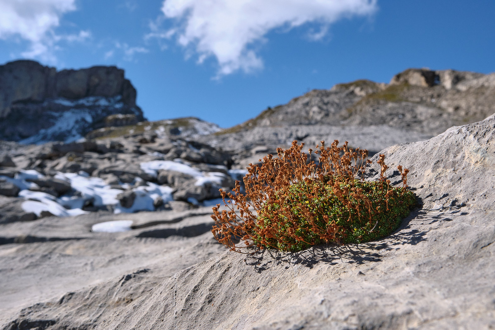 21 10 10 xt3  DSF3842