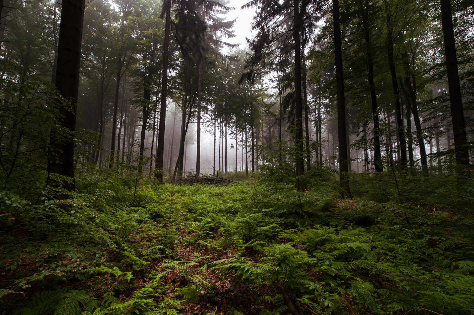 2013 06 01 12110224.1600