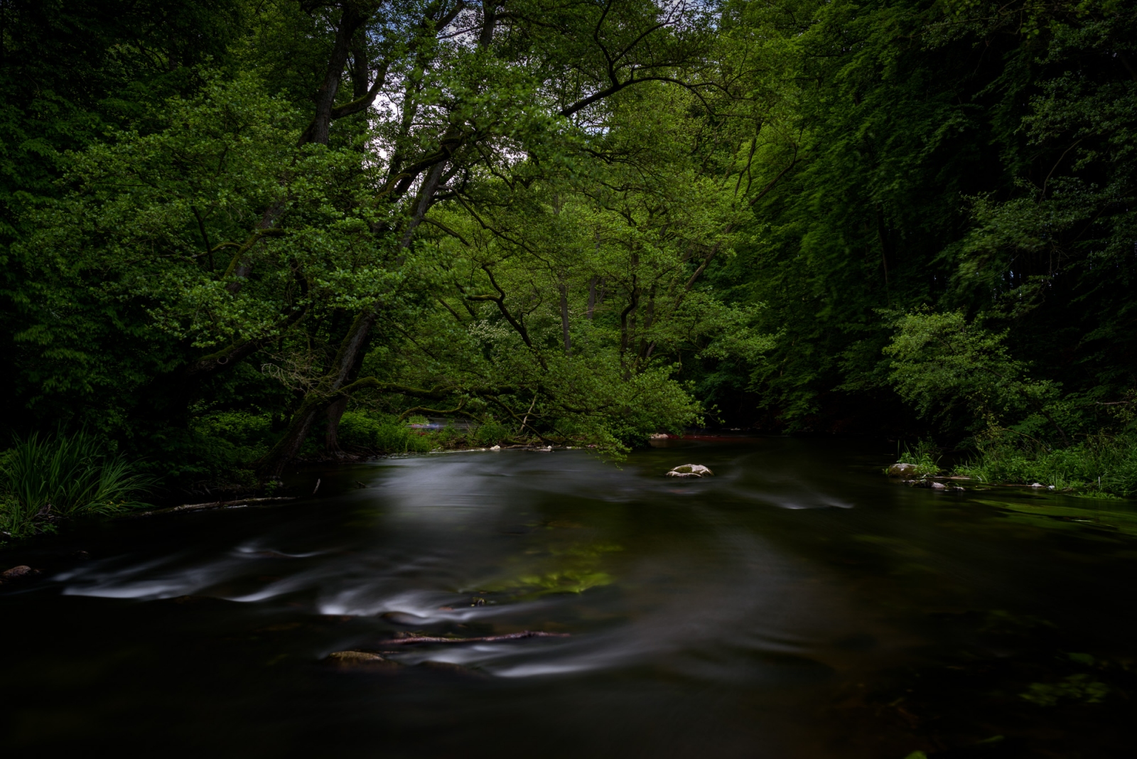 2017 06 10 D810 7758.1600