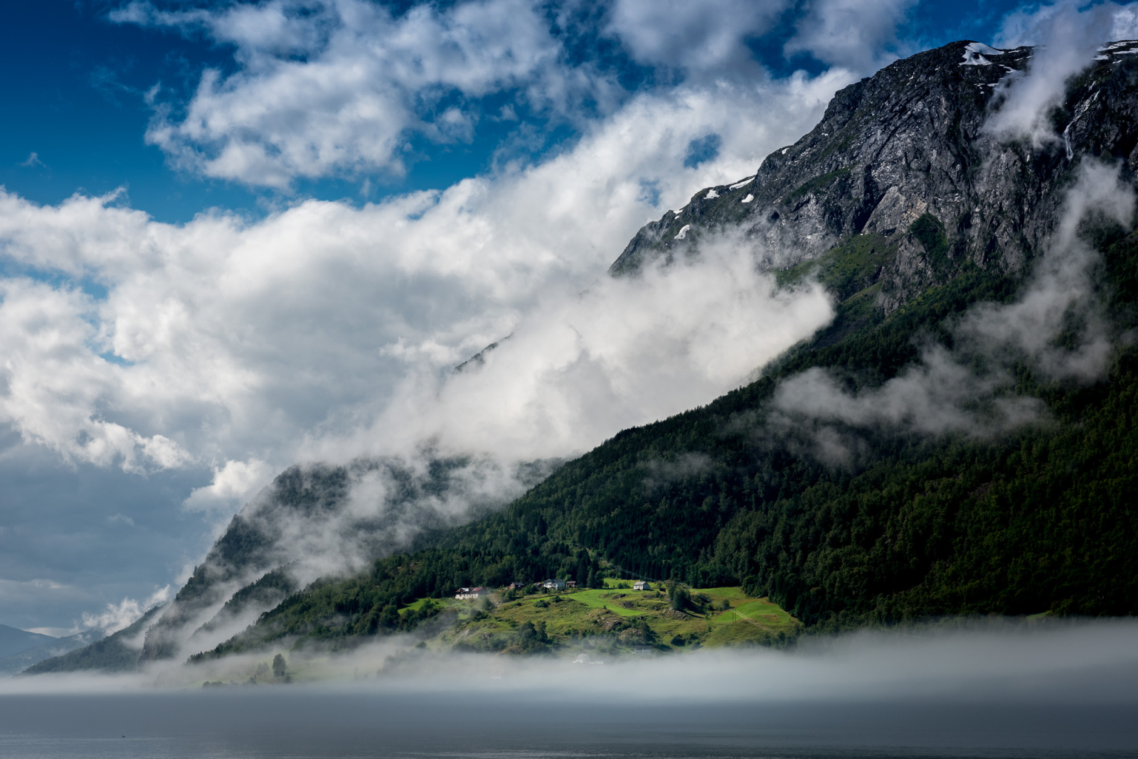 2015 08 11 D810 1834.1600